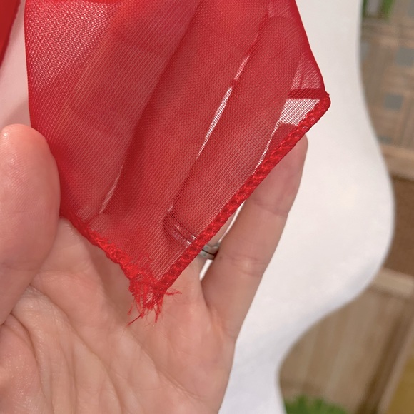 Chiffon Neck Scarf - Picture 3 of 3